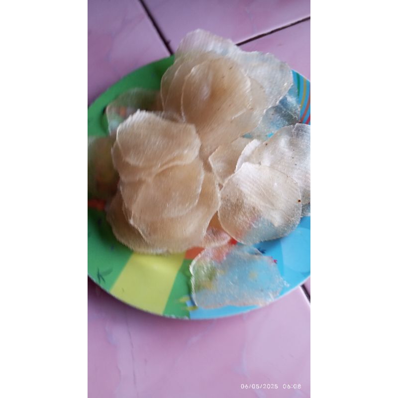 

CIMRING/ KECIMPRING SINGKONG ASLI TERMURAH