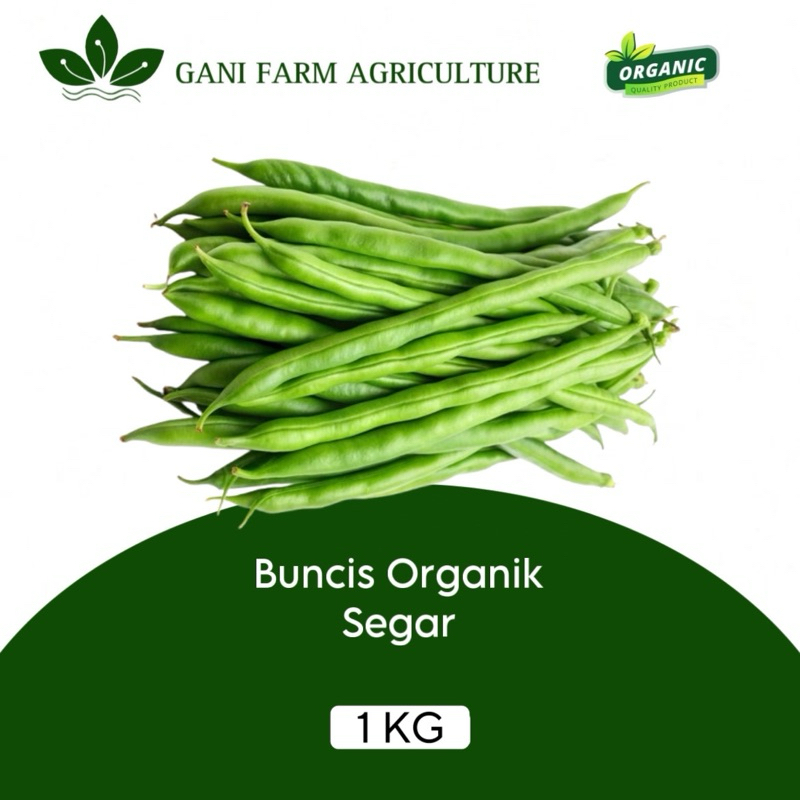 

Buncis Organik segar 1 kg