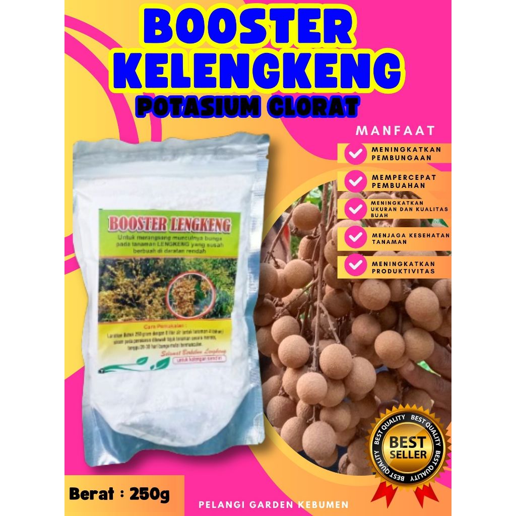 TERLARIS ! Booster Kelengkeng Murni 1Kg, Booster Kelengkeng Merah, Booster Kelengkeng Matalada Berbu
