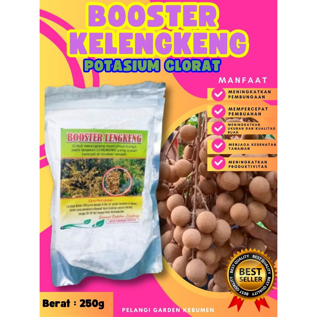 PROMO ! Booster Kelengkeng Merah Cangkok Berbuah, Booster Kelengkeng Matalada, Booster Kelengkeng Me