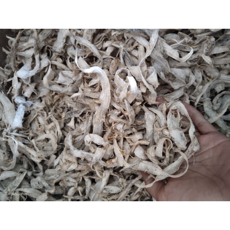 ikan layur kecil kwalitas terjamin