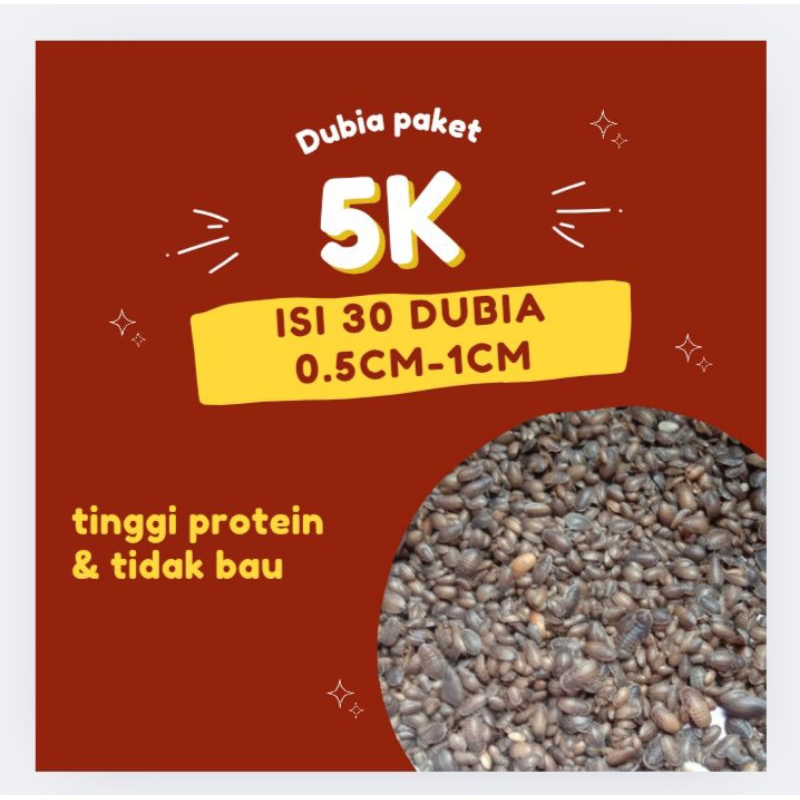 

dubia paket goceng (isi 30 dubia 0.5cm-1cm)