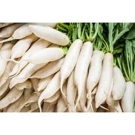 

LOBAK SAYUR PUTIH GROSIR 1 KG TERMURAH BISA KIRIM SELURUH INDONESIA