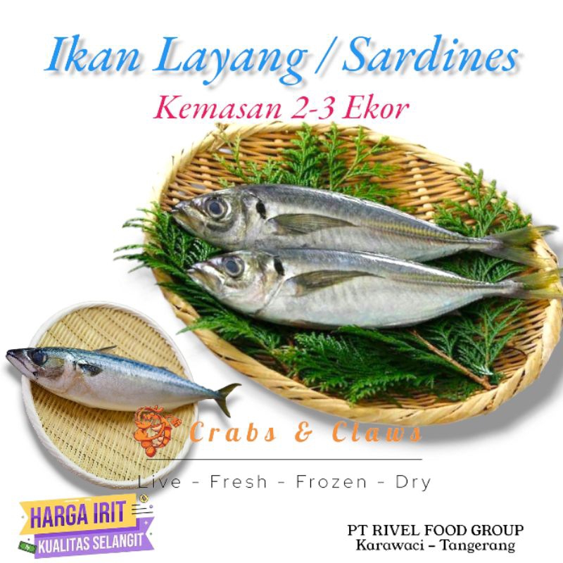 

Ikan Layang/Sardines Fresh 2-3 Ekor | Seafood Ikan Laut Hemat