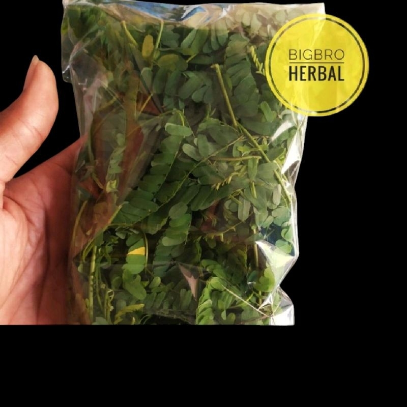 

DAUN SAGA SEGAR DARI POHONNYA