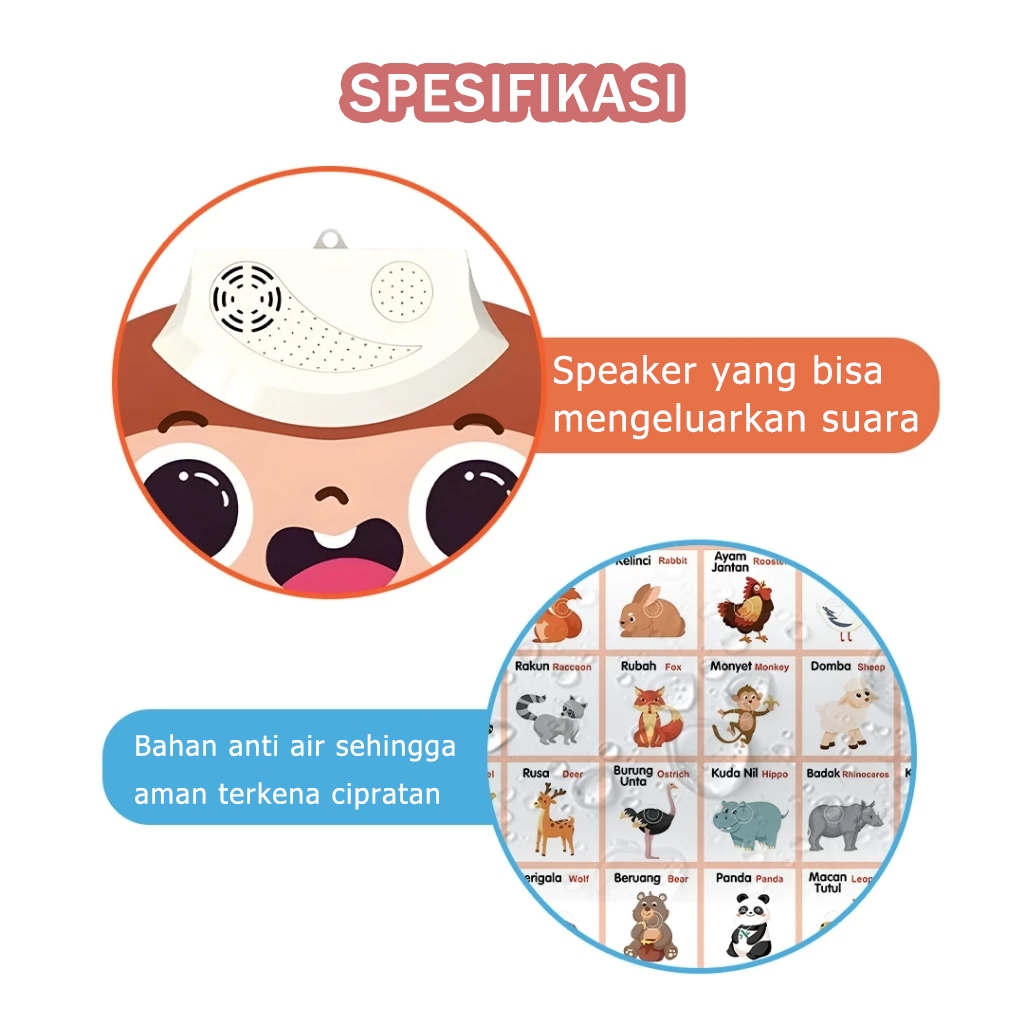 RB22 Poster Edukasi Anak / Poster Dinding Anak Edukasi Belajar /Poster hewan edukasi anak / Poster