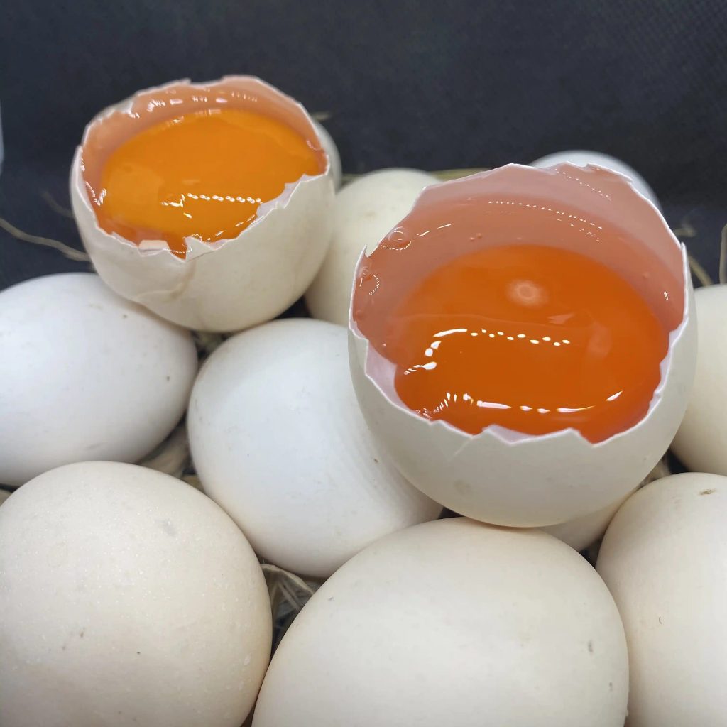 

Telur Ayam Kampung Omega Super Fresh / Butir