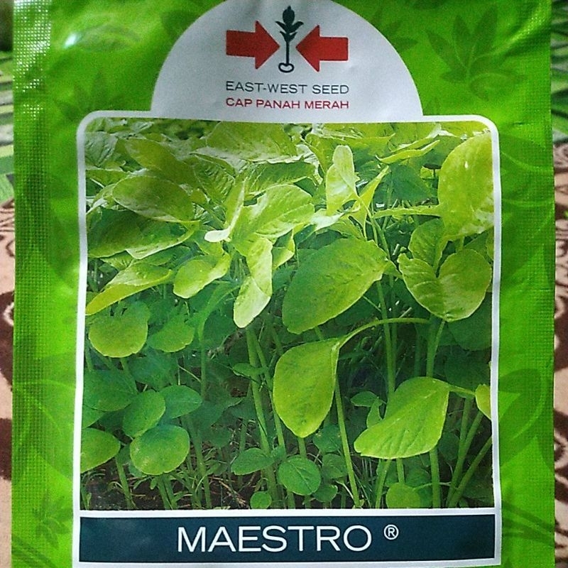 Bibit Bayam Maestro Cap Panah Merah