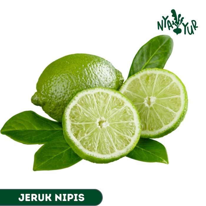 

INSTAN - Jeruk Nipis 100gr
