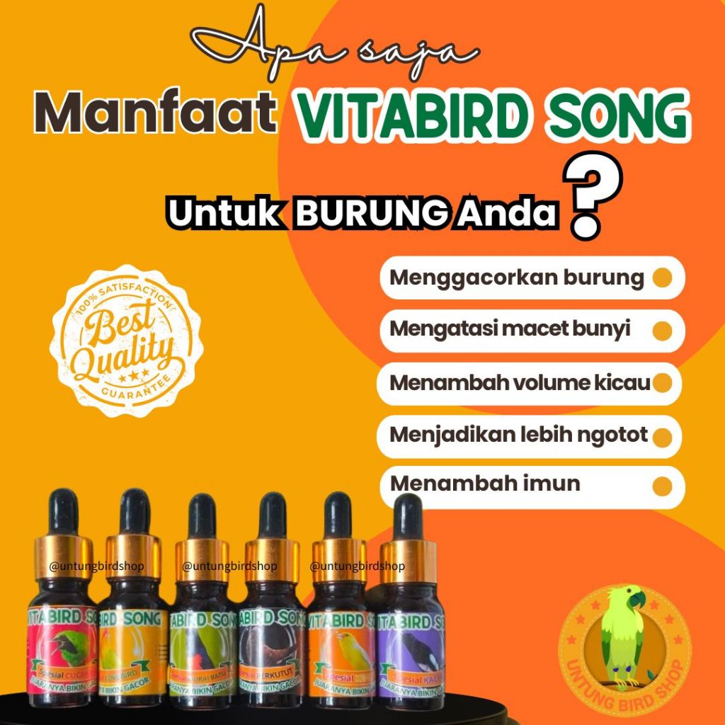 TERBAIK Vitabird Song Kacer, Obat Gacor Burung Kacer, Vitamin Untuk Burung Kacer Supaya Gacor