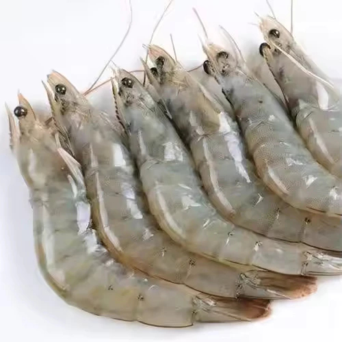 

Udang Putih Segar 250 Gram