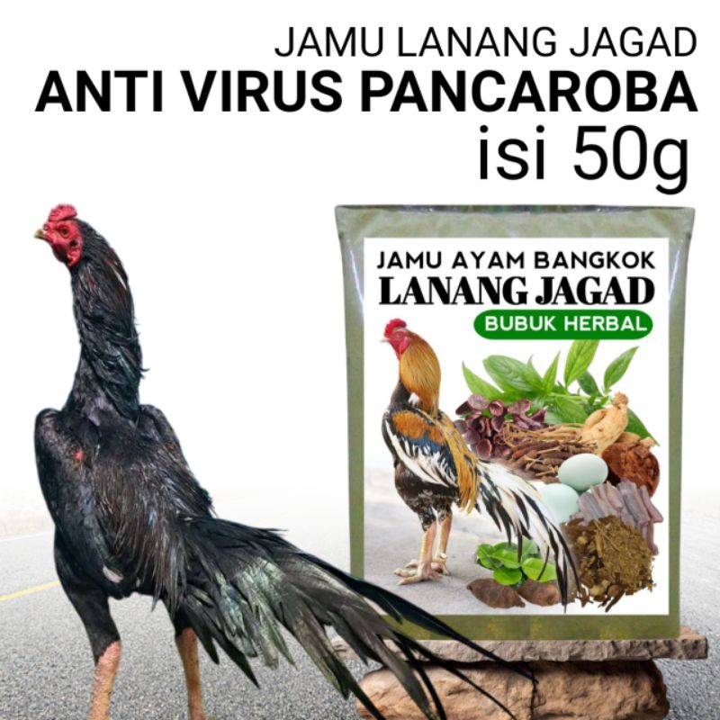 Jamu Ayam Bangkok Penangkal Virus