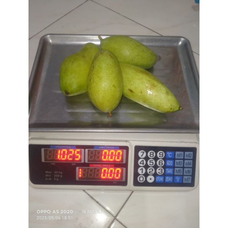 

mangga muda buat rujak