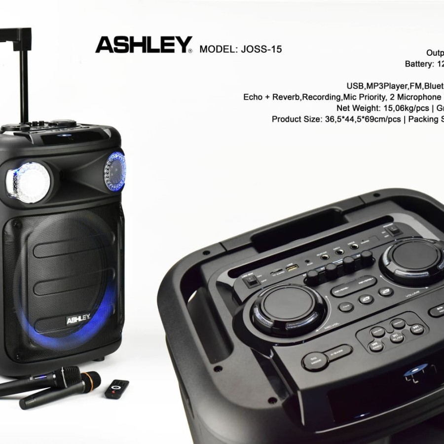 SPEAKER PORTABLE WIRELLES ASHLEY JOOS 15 15 INCH