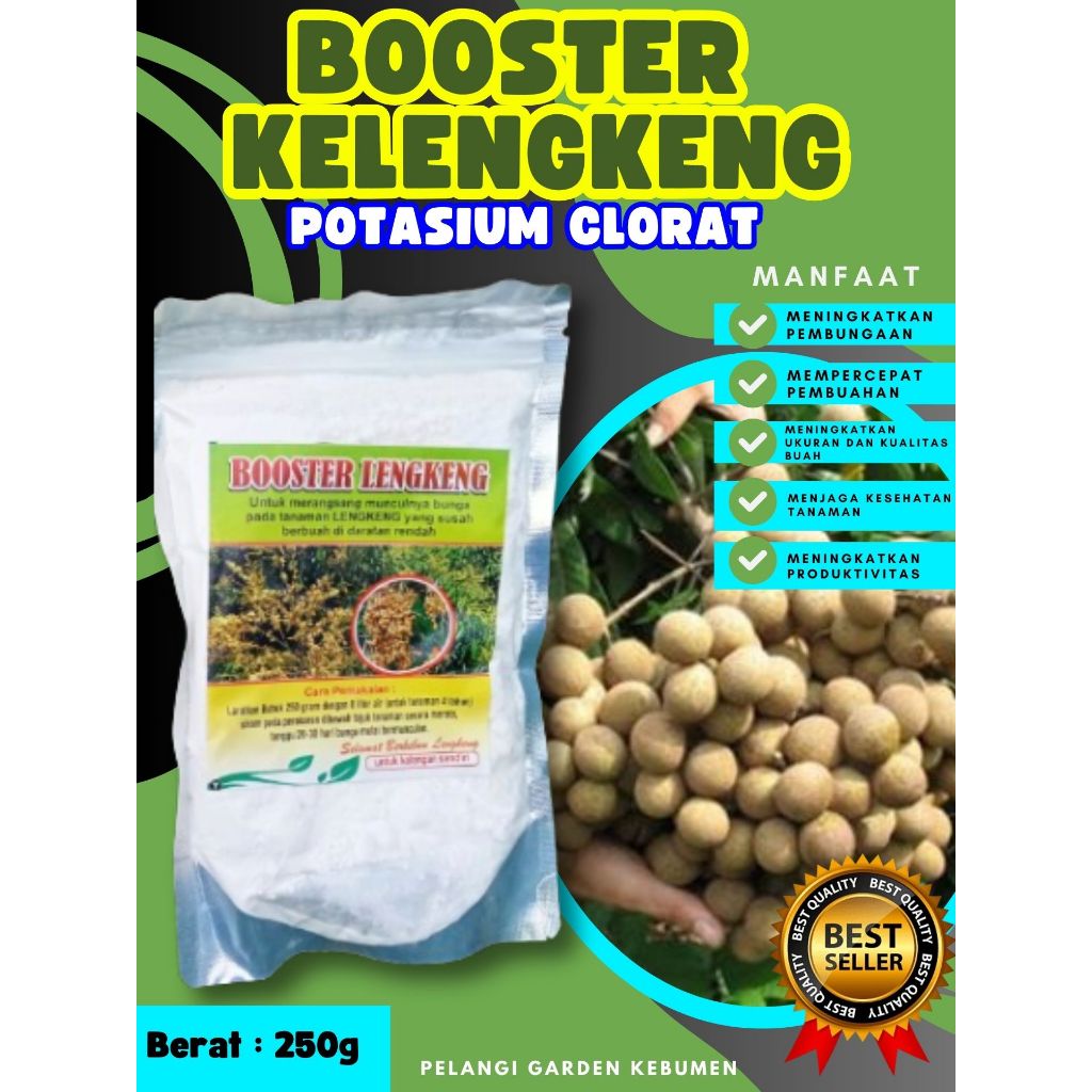 TERLARIS  Boster Kelengkeng Stek, Boster Kelengkeng Terbaik