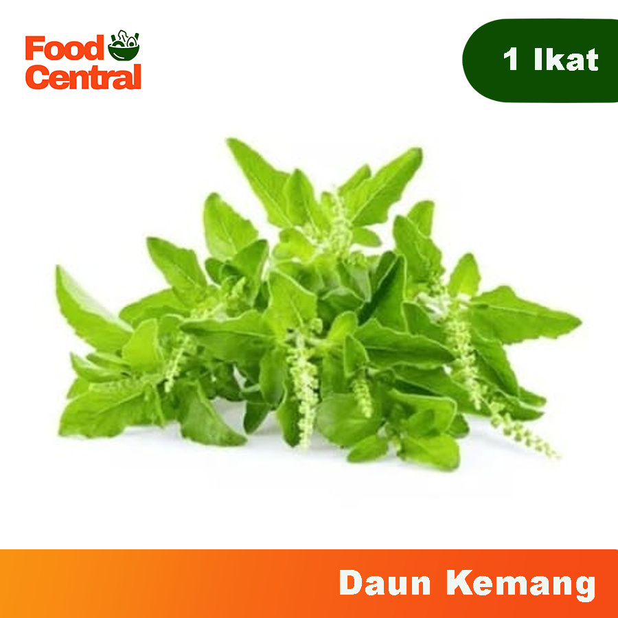 

[INSTAN] Daun Kemangi 1 ikat