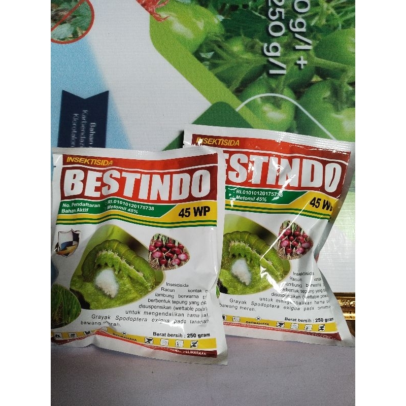 

Bestindo250GR