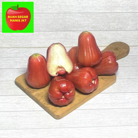 

BUAH JAMBU AIR CITRA MERAH SUPER QUALITY