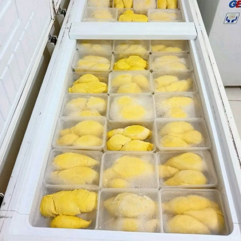 

Paket Bundling 3 Box Montong Palu Premium/ Kualitas Durian Ekspor