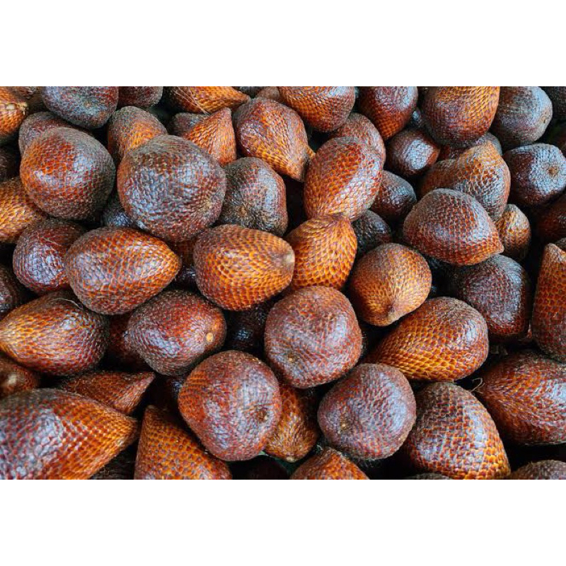 

Buah Salak Pondoh
