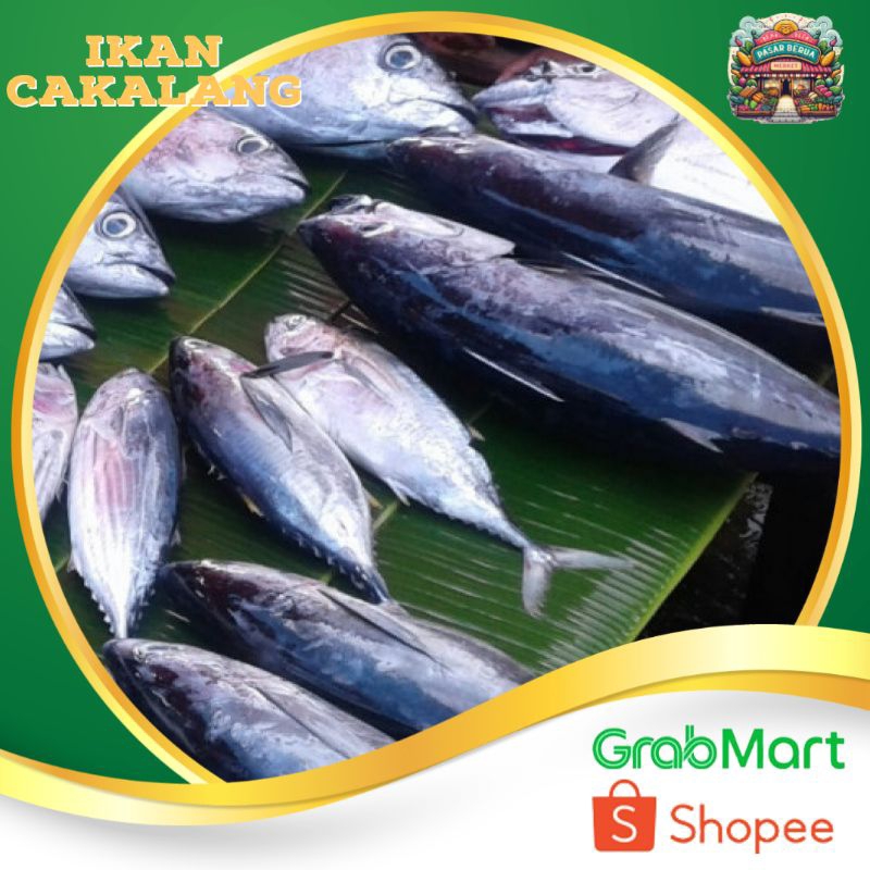 

Ikan Cakalang isi 3-4 Tergantung Ukuran ~ Murah Pasar Induk Daring