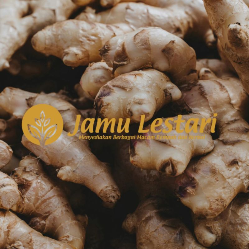 

Temu Lawak Segar 500gram