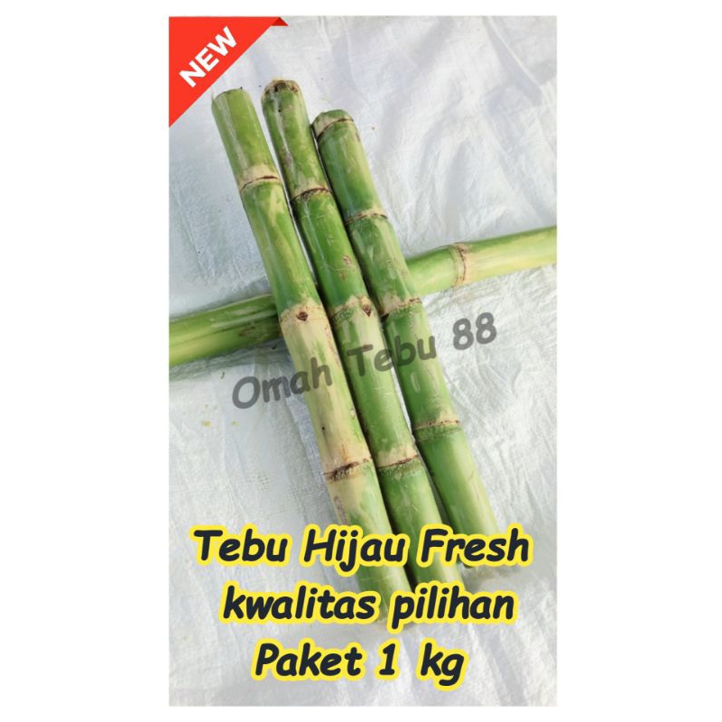 

TEBU HIJAU FRESH MANIS 1 KG