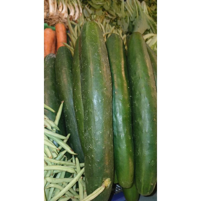 

Timun Kyuri - Timun Jepang Segar 250 gram - Japanese cucumber