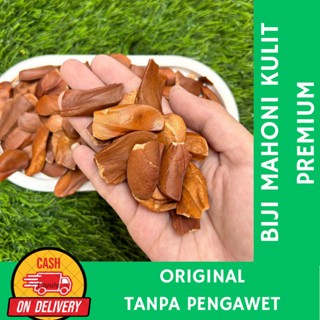 

BIJI MAHONI KERING 1 KG