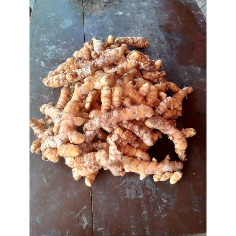 

kunyit koneng