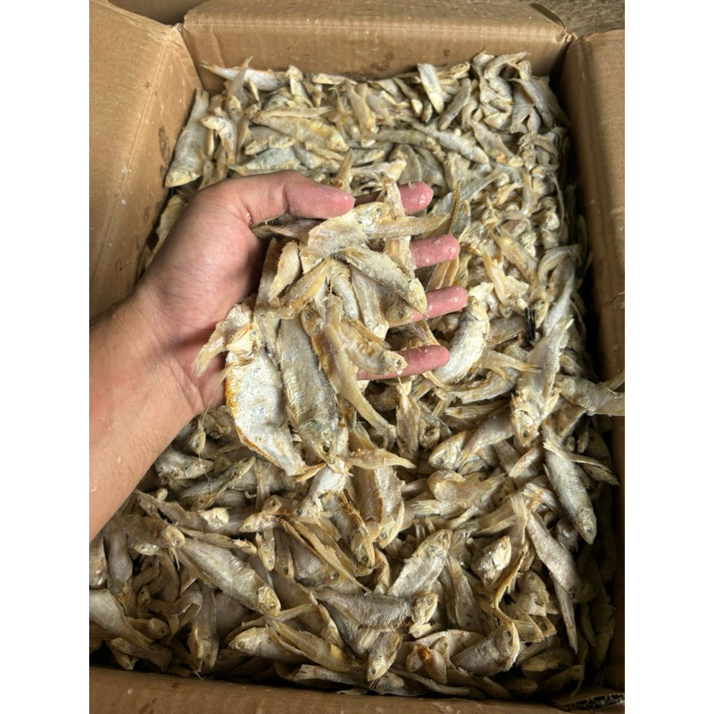

Ikan Asin Campur / Sampah Cop 250gr
