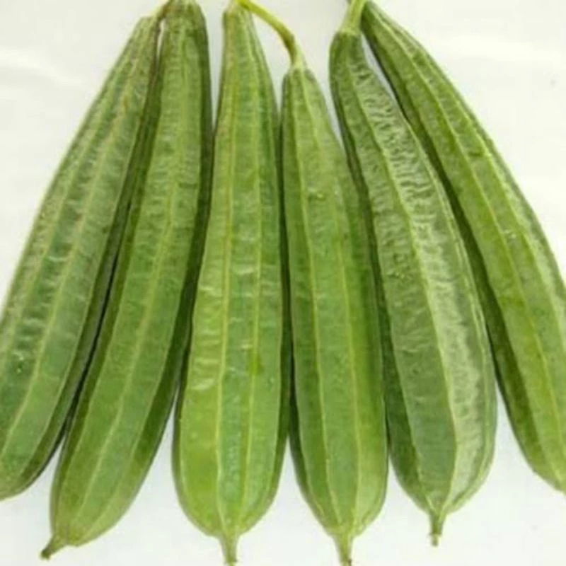 

Sayur Oyong Segar 500 gram