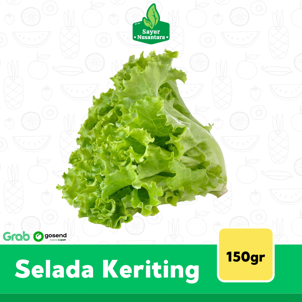 

Selada Keriting Fresh 150gr - Sayur Nusantara