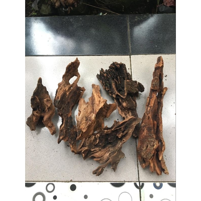 kayu rentek mini/ 1pics random