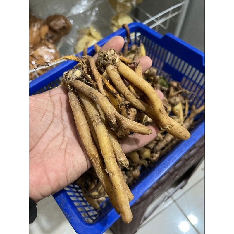 

Temukunci / Temu kunci per 100 gram / 250 gram / 500 gram / 1 kg