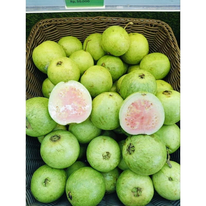 

jambu biji merah