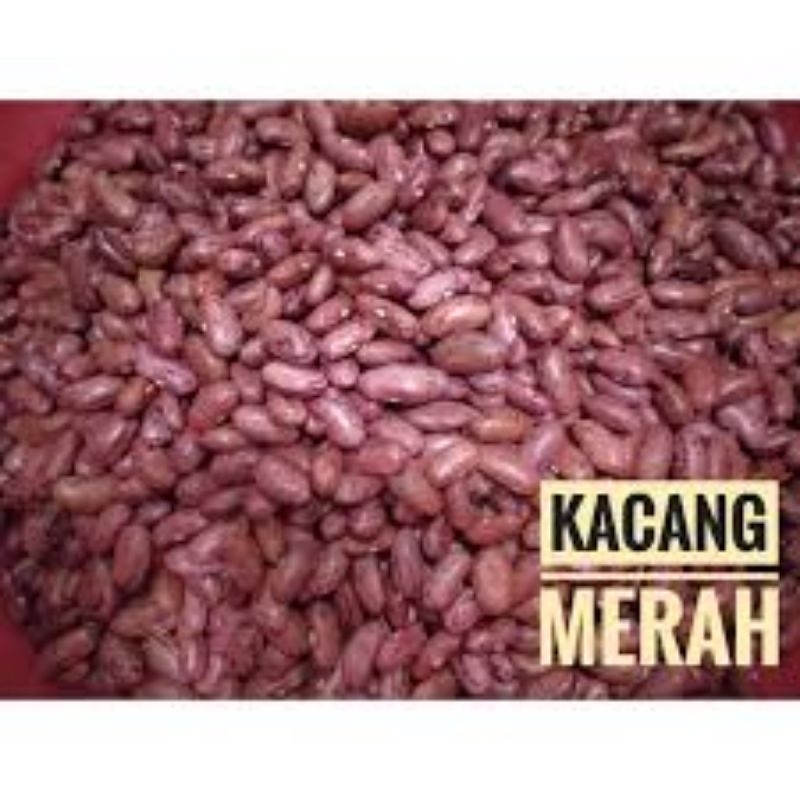 

Kacang merah kering untuk rendang