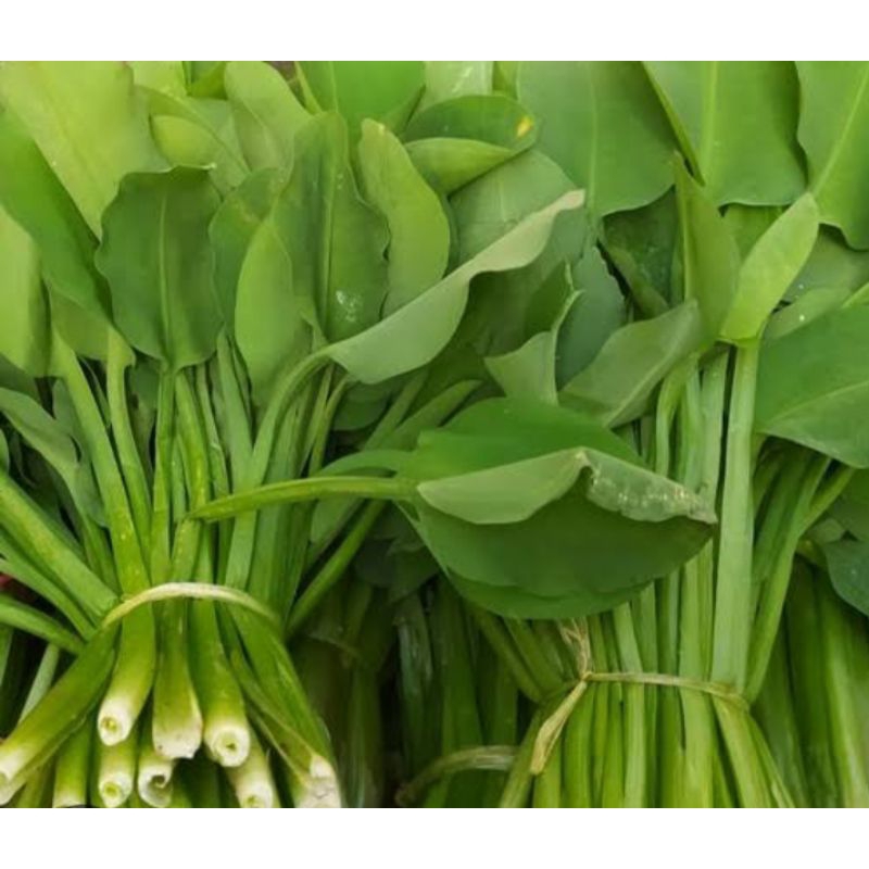 

DAUN GENJER PER IKAT / SAYUR GENJER