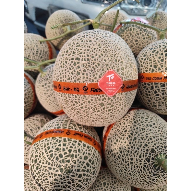 

Melon jepang red manis | Buah melon jepang orange BRIX 16 berat 1,3 kg