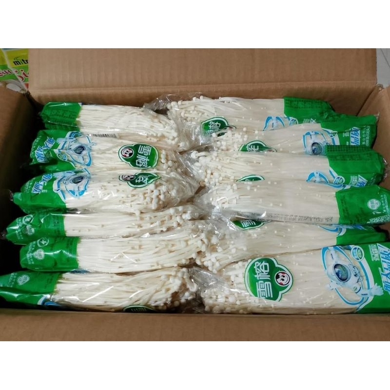 

Jamur Enoki Murah Dapat 3