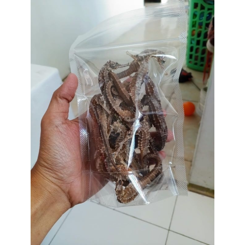 

KL HAI MA KUDA LAUT 50 GRAM JUMBO (isi 15-25 PCS)