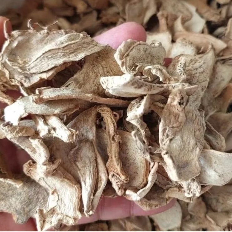 

Lempuyang Iris Kering - Puyang Iris Kering Asli