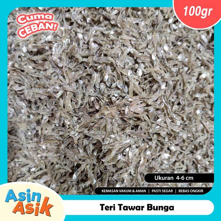 

Ikan Asin Teri Tawar Bunga Murah Segar Fresh Kemasan Vakum Aman Serba Ceban