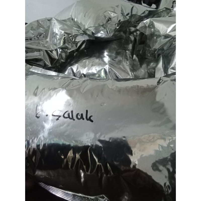 

kripiksalak