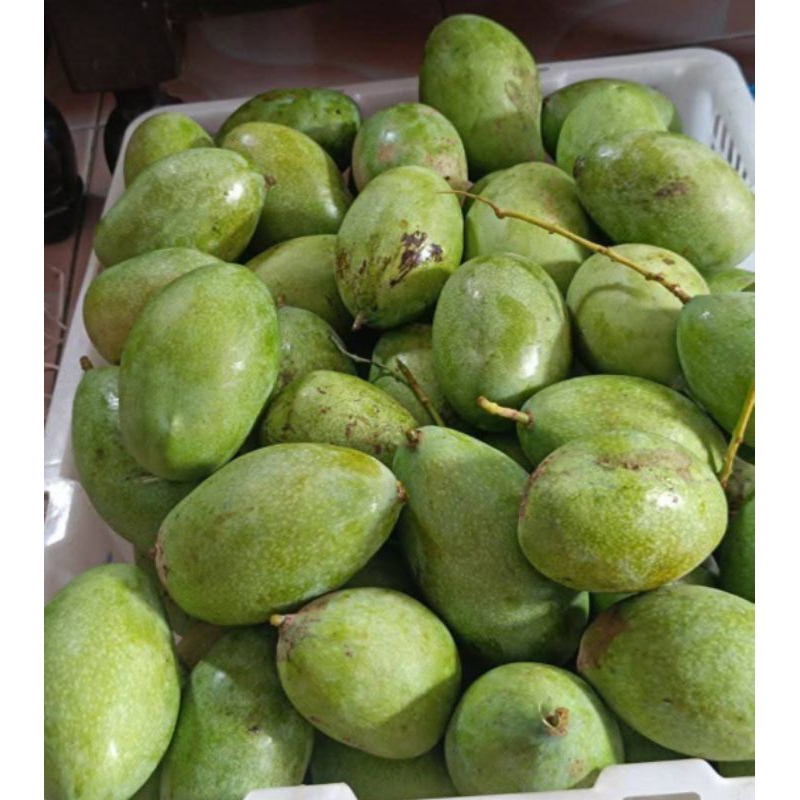 

MANGGA MANALAGI 1KG