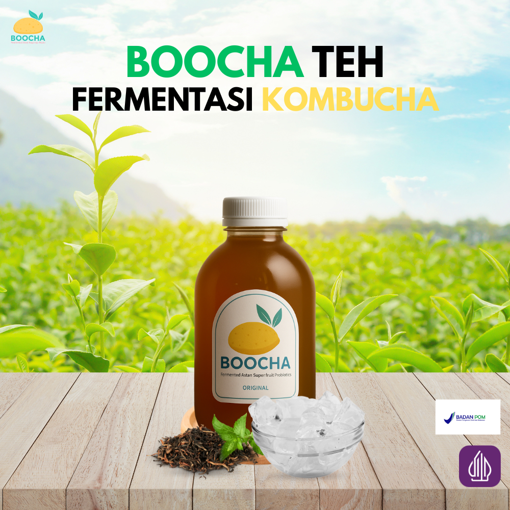 

Boocha.Official Kombucha Original–Minuman Sehat Fermentasi Detox Tubuh Imun, Probiotik Alami 250ml