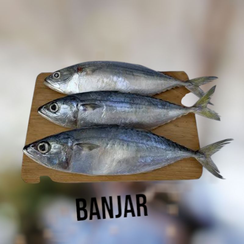 

Ikan kembung/kembung BANJAR fresh 1kg