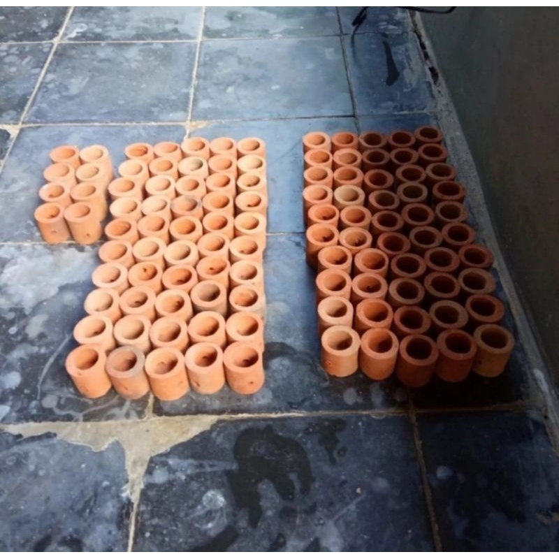 pot tanaman air atau tanaman aquascape