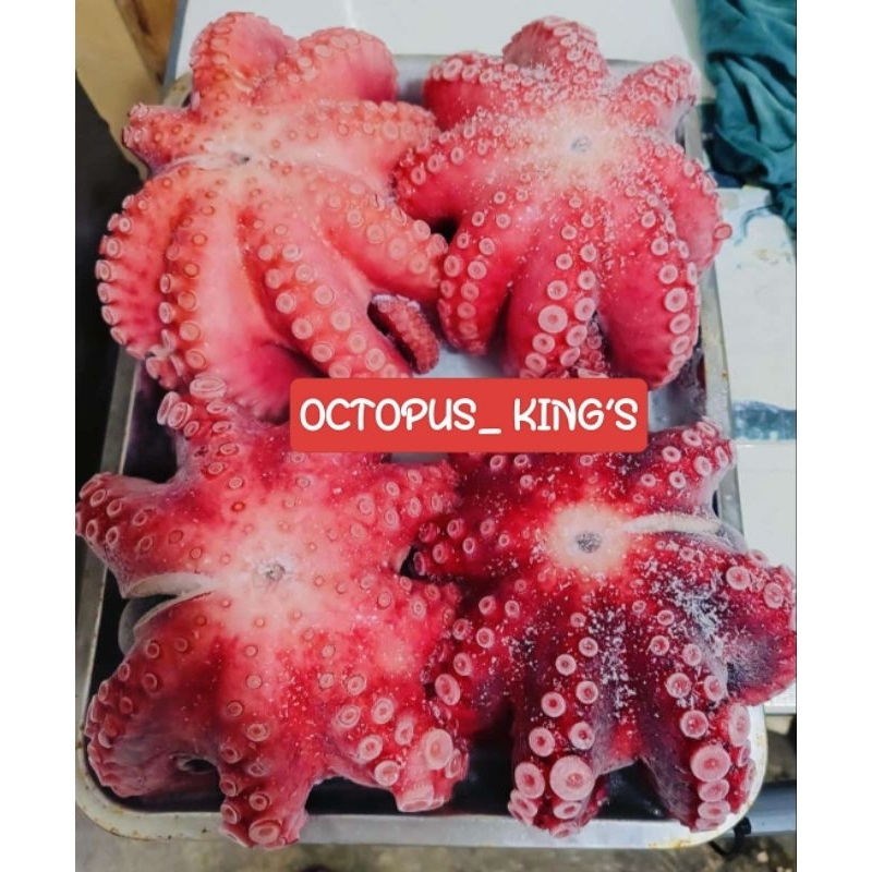 

Tako Boiled Sashimi size 800-2000 up