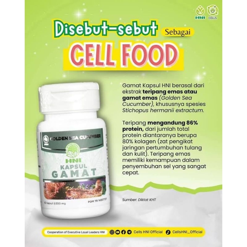 GAMAT HNI EKSTRA TERIPANG EMAS